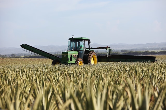 Setor agrícola